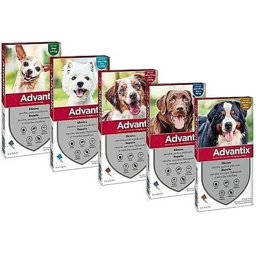 Elanco advatix dog spot per - advatix, spot-on