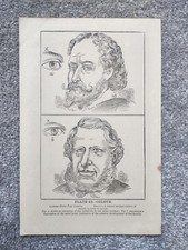 Colour - Phrenology- Antique