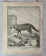 1767 litografia stampa