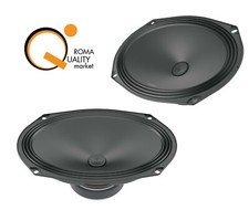 Audison AP 690 Coppia Woofer ellittici 6" x 9" Casse Auto Prima 300 W 4 Ohm