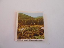 figurina PAESI CONOSCERE IL