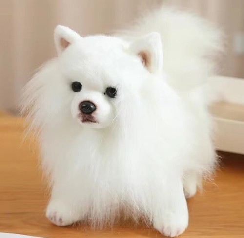 Peluche cane pomerania bianco