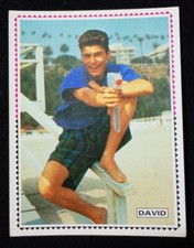 Figurina DAVID 82 - Panini Beverly Hills 90210 sticker con velina 1991