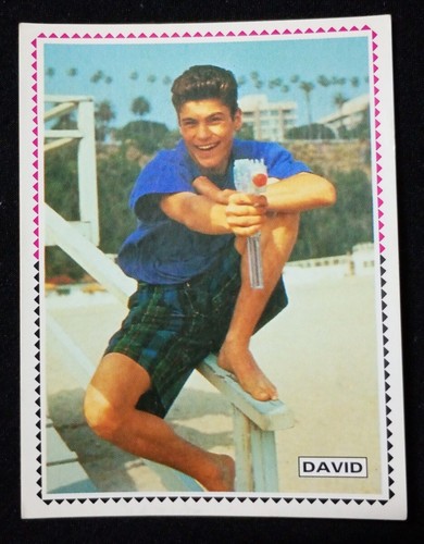 Figurina david panini - figurina, 82