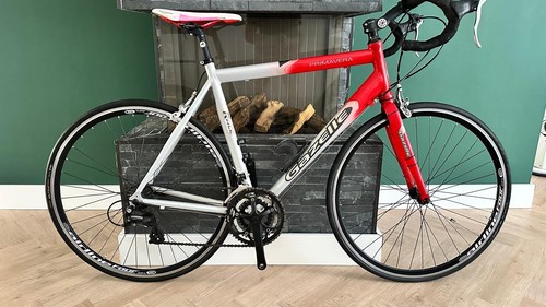 Bici strada gazelle - da,