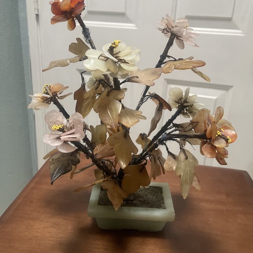 Albero bonsai giapponese