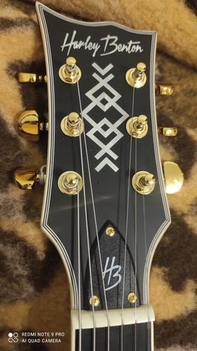 Chitarra elettrica harley - chitarra,