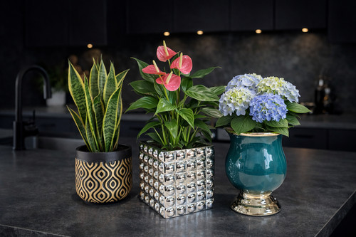 Vaso fioriera arredamento - , casa