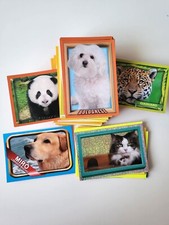 lotto n. 252 figurine Amici Cucciolotti 2013 Pizzardi editore (NO DOPPIE)