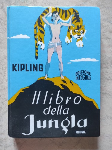 Romanzo ragazzi libro - romanzo,