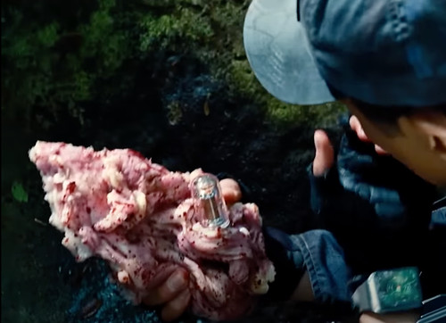Jurassic world indominus rex - world,