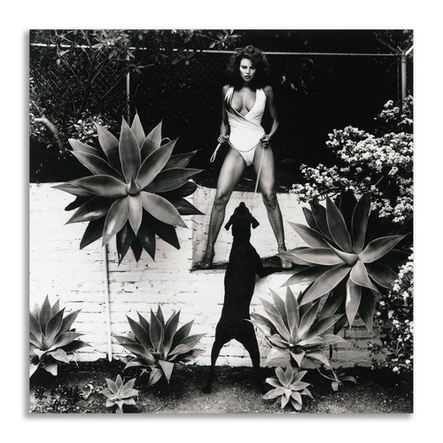 Quadro helmut newton - , su