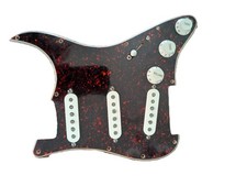 Alnico VERO Parafango Custom