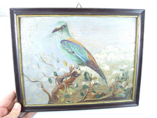 DIPINTO ANTICO ORNITOLOGIA UCCELLO GHIANDAIA MARINA ARTE POPOLARE NAIF