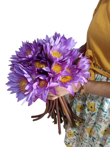 Fiori secchi puri raccolti - , a