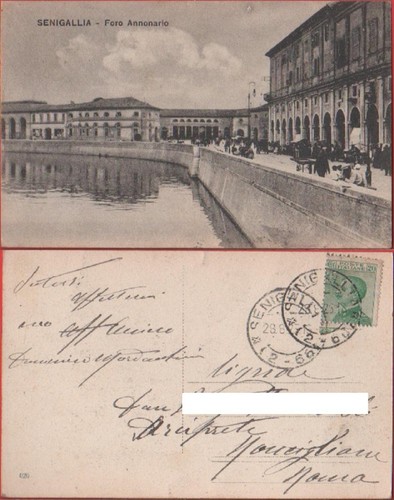 Cartolina senigallia - cartolina,