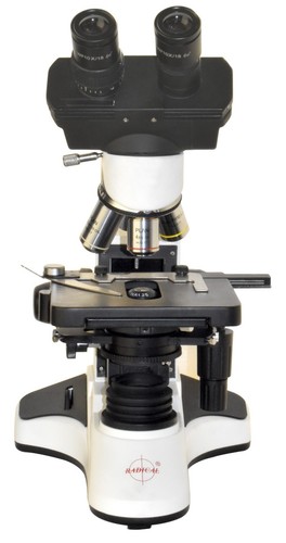 Microscopio binoculare