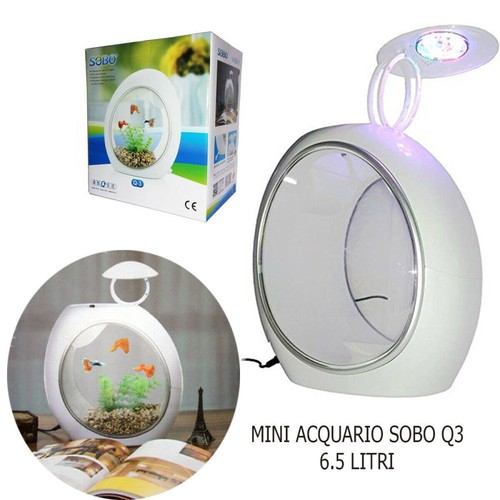 mini acquario 5 litri