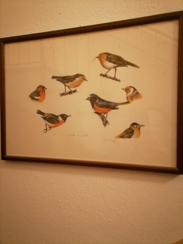 Quadro arnoldo sidoli - quadro,