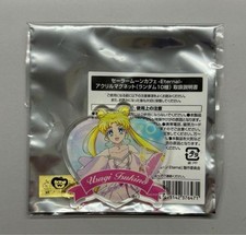 Sailor Moon Usagi Tsukino