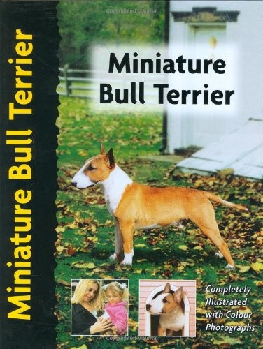 Miniature bull terrier - miniature,