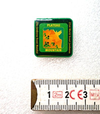 Spilla smaltata SCOUT 21°