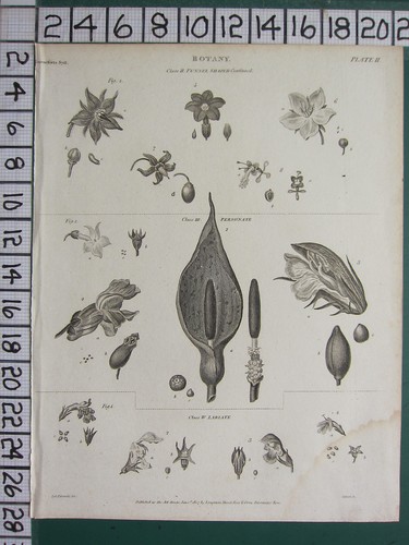 1807 datato antico stampa - 1807,