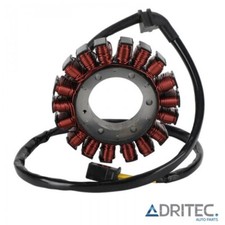 ✅ STATORE ALTERNATORE per