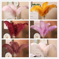 Qualità Piume Struzzo