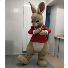 Peter rabbit flopsy - peter, bunny
