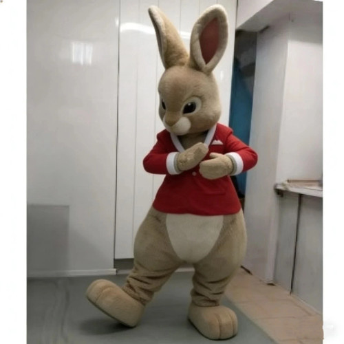 Peter rabbit flopsy bunny - rabbit,