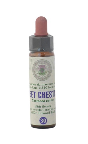 Sweet chestnut 30 - chestnut,
