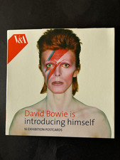 David Bowie Is Introducing