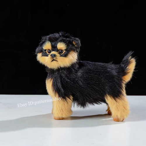 Dog toy model yorkshire - model,