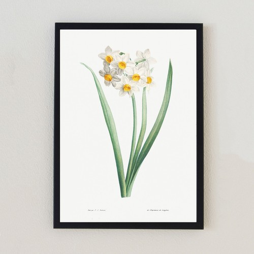Illustrazione floreale vintage