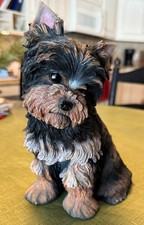 Yorkshire Terrier Puppy