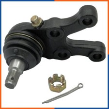 Giunto Sferico anteriore