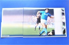 LE FIGURINE ERREDI CARNEVALE DI MAGGIO 2014/15  A B C D E F SSC NAPOLI 