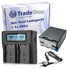 Set 2 in 1: batteria agli ioni