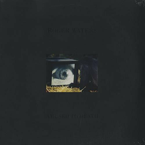 Roger waters amused to - roger,