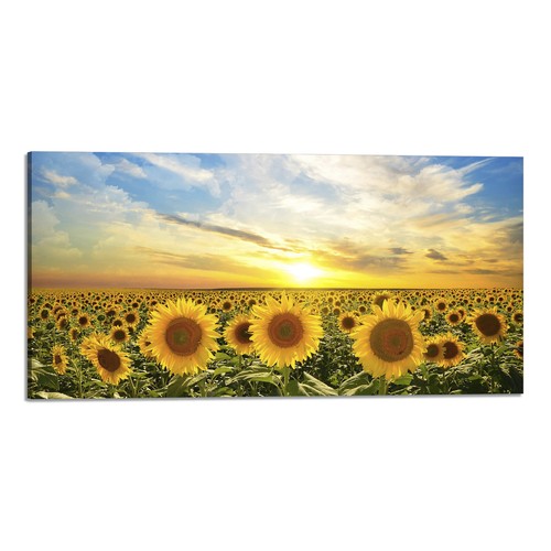 Quadro stampa tela con - stampa,