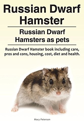 Russian dwarf hamster - russian,