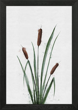 Quadro Acquerello Gattails