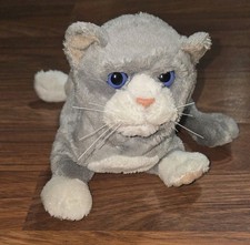 Pelliccia Real Friends gattino