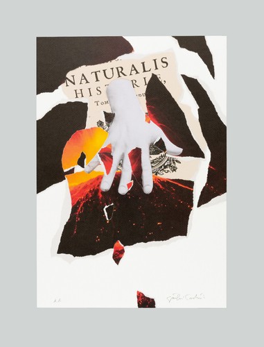Giulio paolini naturalis - paolini,