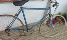 BENOTTO VECCHIA BICICLETTA DA CORSA CAMPAGNOLO GRAN SPORT COMPONENTI ANNI 50 BICICLETTA