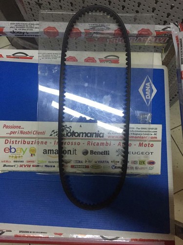 10x800 cinghia alternatore - cinghia,