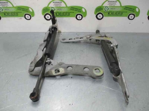 Pistoncini cofano bmw - pistoncini,
