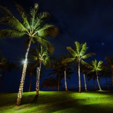 Luci di Natale per esterno led