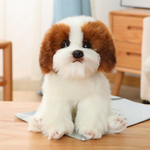 Simulazione cane maltese